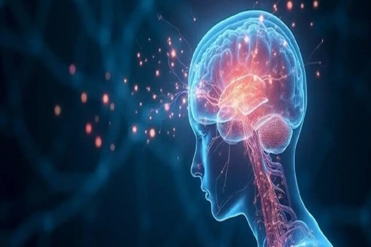 دانشگاه شیکاگو راز ماندگاری لحظات احساسی را فاش کرد؛ چرا خاطرات هیجانی فراموش نمی‌شوند؟