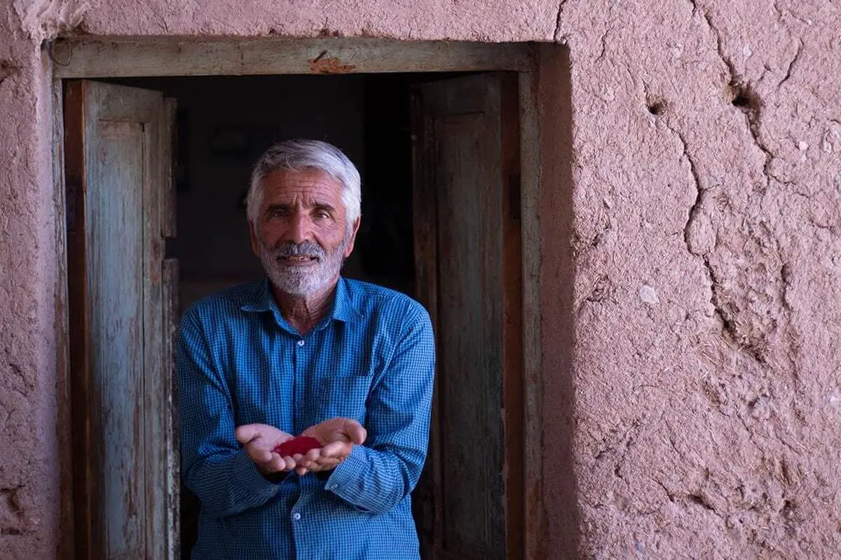 استارتاپ «رویای آب» چگونه با کم‌آبی می‌جنگد؟ کشمون: زعفران طلایی نجات‌بخش ایران است!