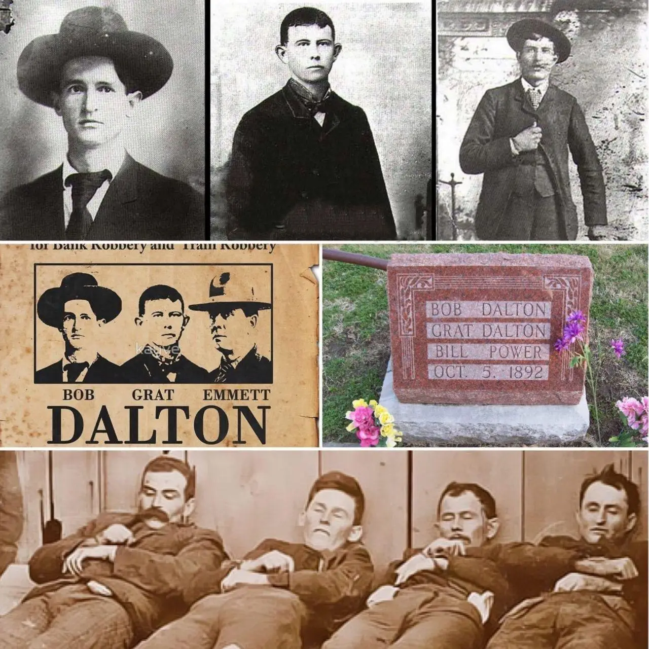 پاورز دالتون .. باب دالتون .. گرات دالتون .. دیک برادول دالتون