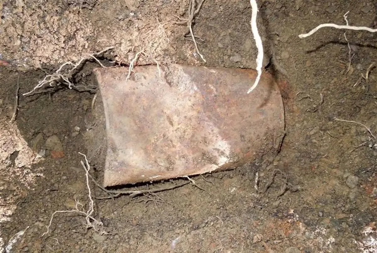 کشف شگفت‌انگیز بزرگ‌ترین گنجینه سکه‌های طلا در آمریکا؛ راز پنهان این زوج چیست؟