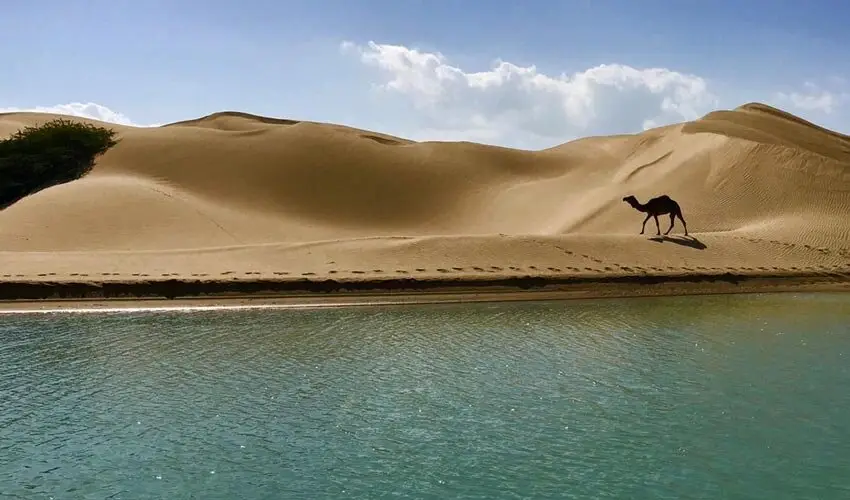 روستای درک در حاشیه دریای عمان و فاصله ۱۷۰ کیلومتری تا چابهار و ۱۲۰ کیلومتری تا مرکز شهرستان کنارک واقع شده است
