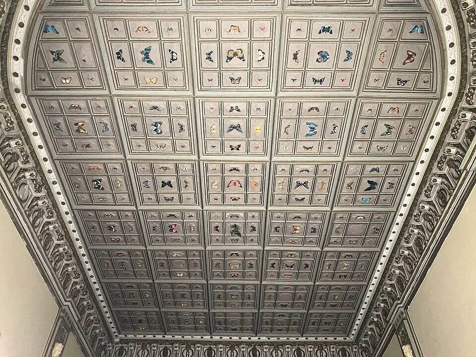 اتاق پروانه اتاق پروانه