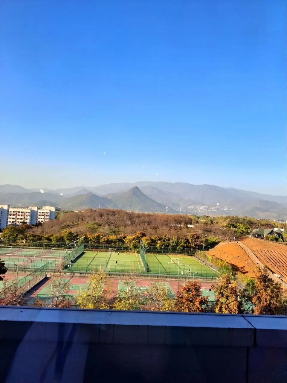 زمینهای متعدد ورزشی دانشگاه از جاده ابریشم تا هوش مصنوعی؛ یادداشتهای یک سفر پژوهشی به چین