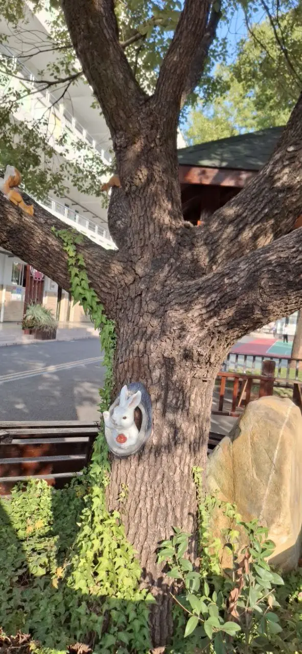 فضای یک مدرسه در هانگژو از جاده ابریشم تا هوش مصنوعی؛ یادداشتهای یک سفر پژوهشی به چین