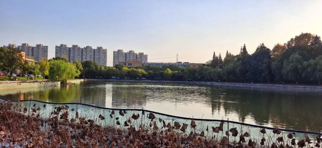 نمایی دیگر از دریاچه محوطه دانشگاه از جاده ابریشم تا هوش مصنوعی؛ یادداشتهای یک سفر پژوهشی به چین