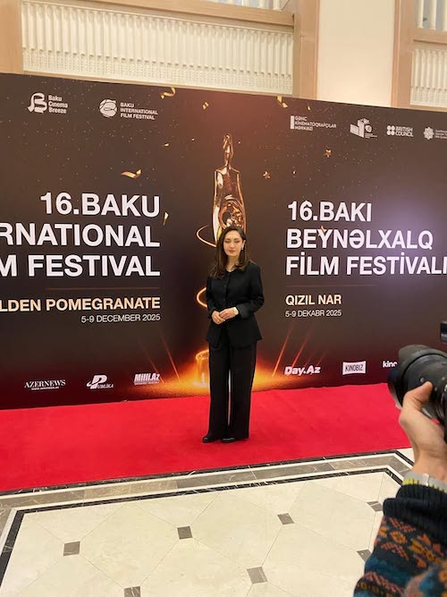 استایل مینیمال نیکی کریمی