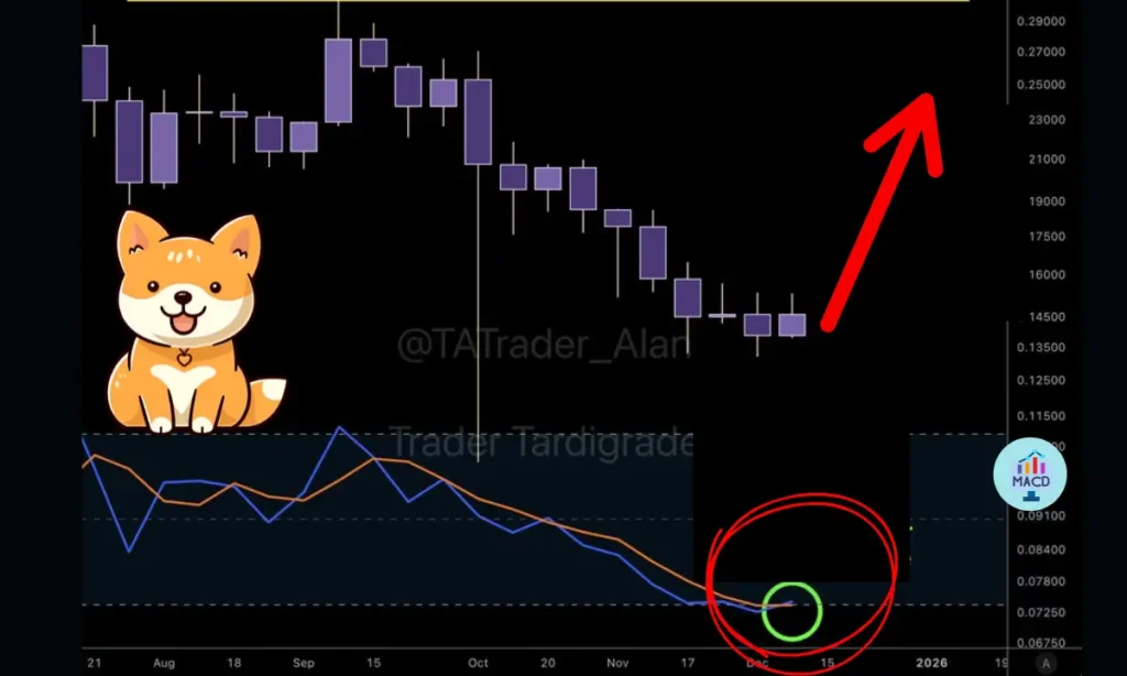الگوی طلایی در دوج‌کوین؛ آیا قیمت در آستانه جهش بزرگ است؟