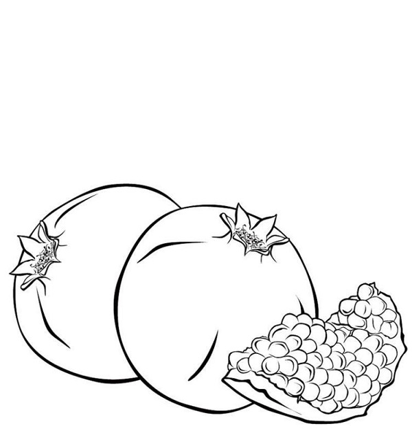 نقاشی میوه شب یلدا 