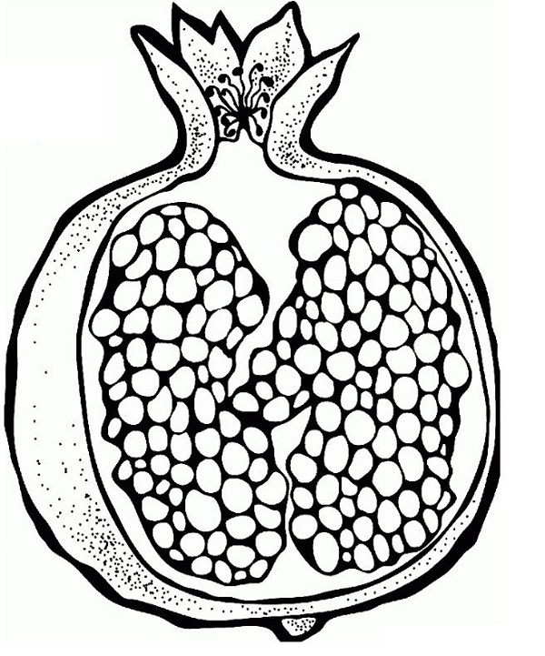 نقاشی انار شب یلدا برای کودکان