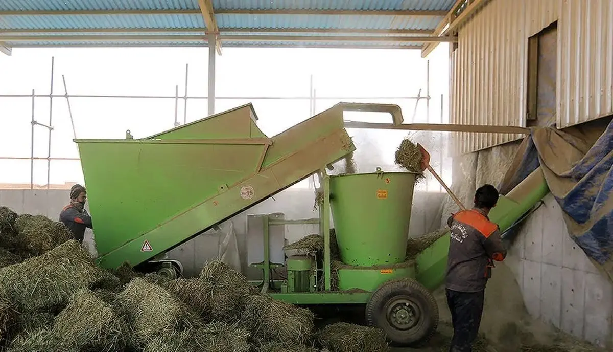 چرا ارز واردات کالاهای اساسی نایاب شد؟ پشت‌پرده خالی فروشی وزارت نفت و بانک مرکزی فاش شد!