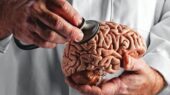 راز جوان‌تر ماندن مغز؛ چگونه توده عضلانی و چربی شکمی سلامت ذهن را تضمین می‌کند؟