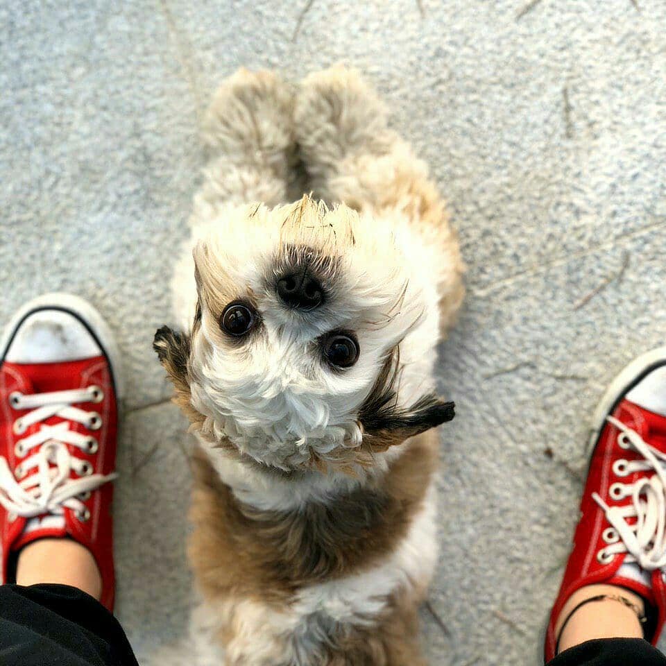 عکس پروفایل خاص لاکچری دخترونه