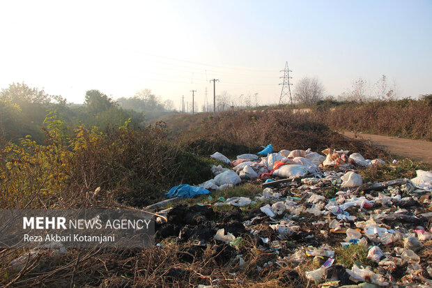 محمدی هشدار داد: پسماندهای شهری، قاتل خاموش خاک ایلام!