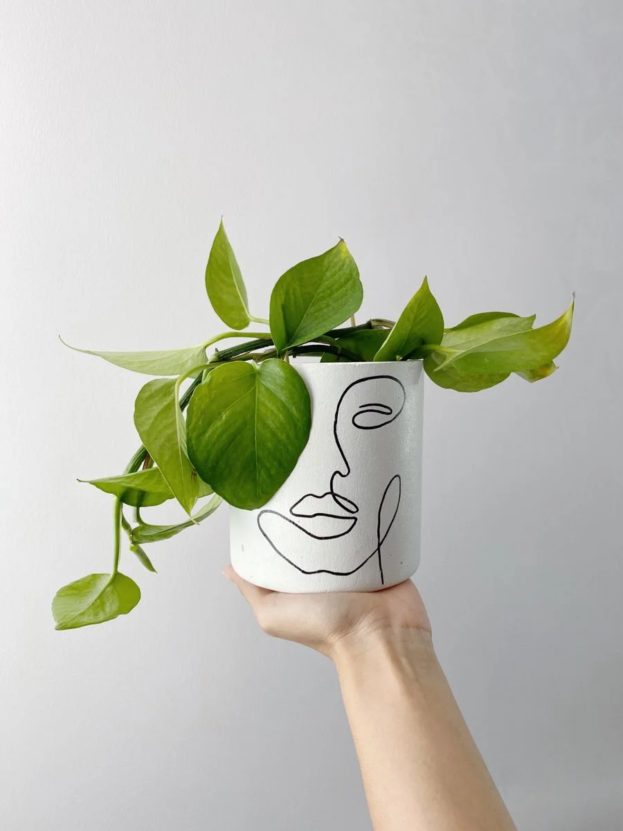 نقاشی گلدان