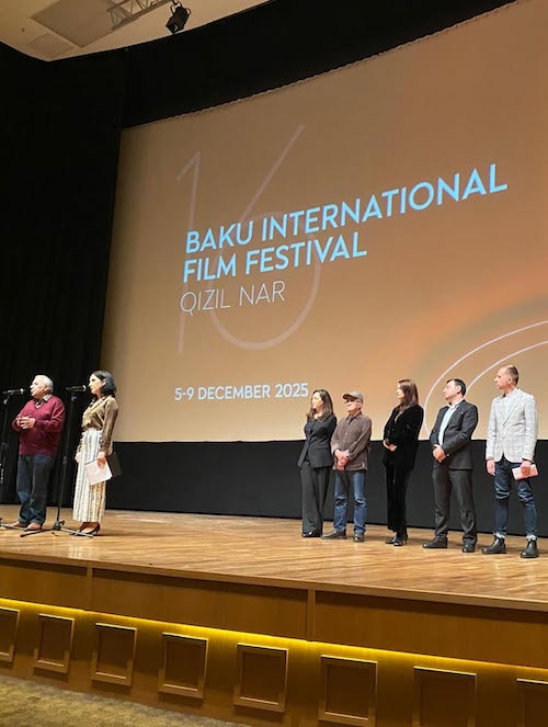 استایل مینیمال نیکی کریمی