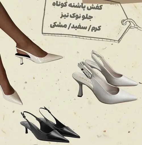 کفشهای همیشگی