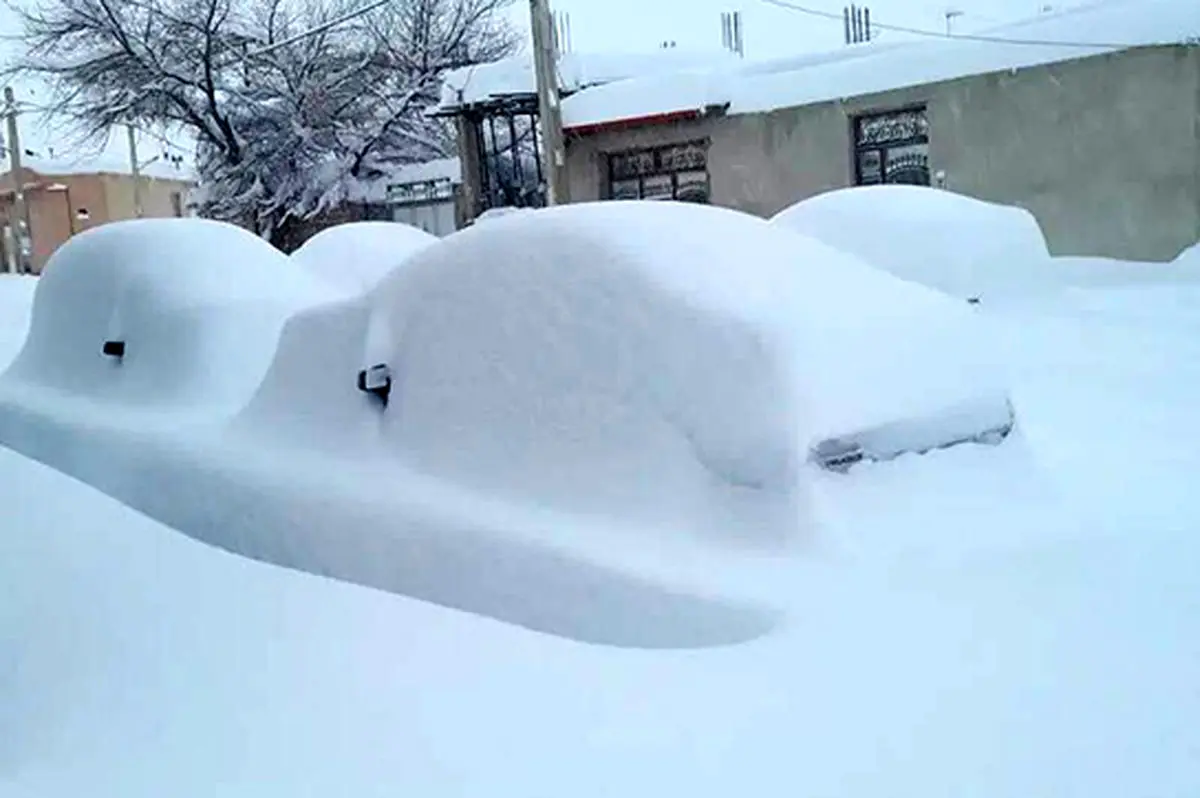 این روستا، زیر برف ناپدید شد/ ویدئو