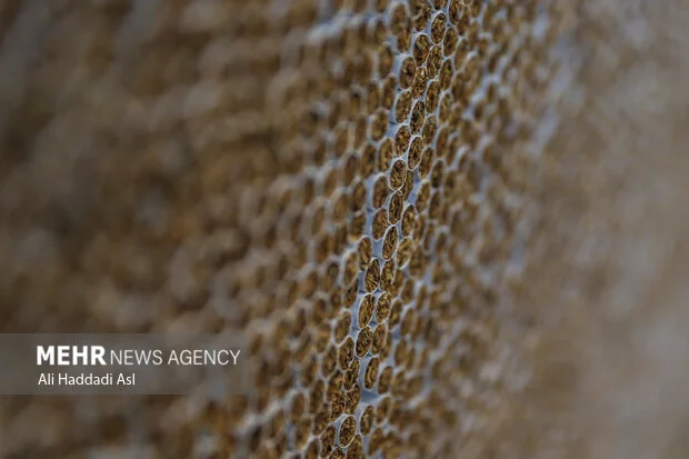 افزایش مالیات هر نخ سیگار به ۶۵ تومان؛ جزئیات جدید تعرفه‌های ۱۴۰۴ منتشر شد