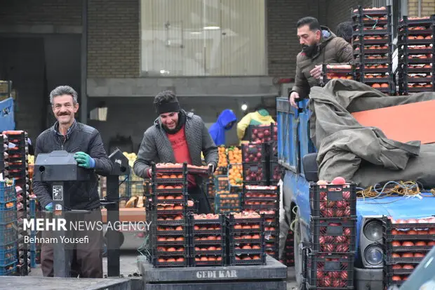 کنترل ویژه قیمت و کیفیت اقلام یلدایی در میادین میوه تهران؛ مردم نگران نباشند!