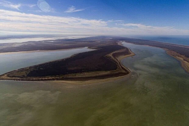 خشک شدن نگران‌کننده ۲۰ هزار هکتار از تالاب میانکاله؛ تهدیدی بزرگ برای اکوسیستم دریای خزر