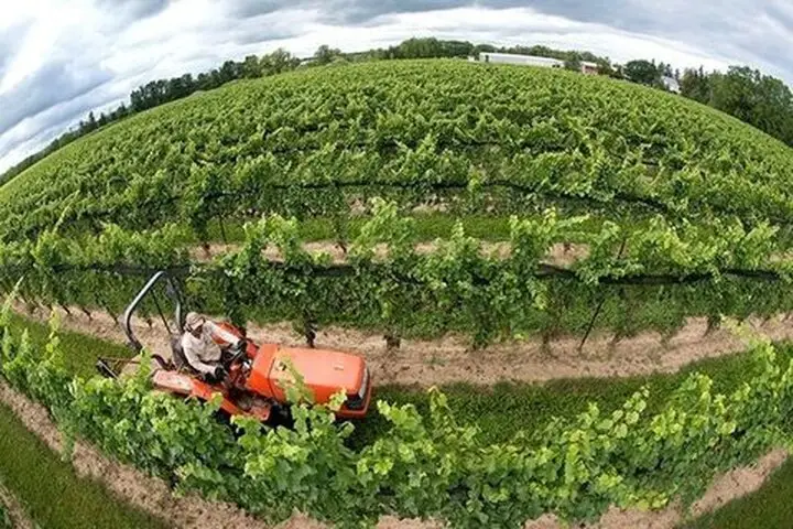 سمنان برنامه مدیریت آب کشاورزی تا ۱۴۰۷ را تدوین کرد؛ اصلاح الگوی کشت ضروری شد