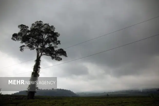 هوای مازندران شنبه چگونه خواهد بود؟ از صاف تا باران و برف در ارتفاعات!