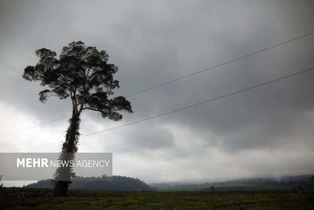 هشدار هواشناسی مازندران: بارش برف و مه‌آلودگی در ارتفاعات، رانندگان مراقب باشند!