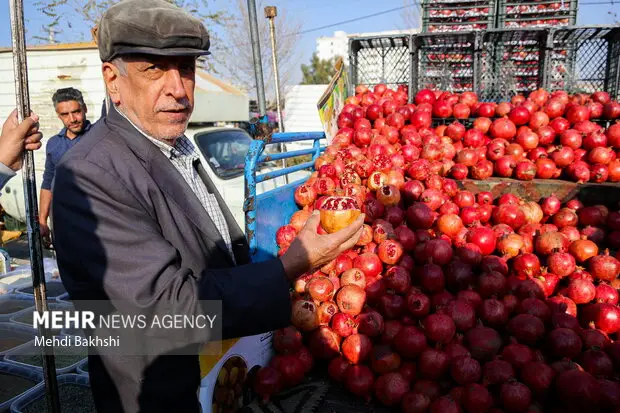 چرا سفره‌های یلدای قم در بلندترین شب سال کوچک‌تر شدند؟ افزایش بی‌سابقه قیمت‌ها صدای مردم را درآورد!