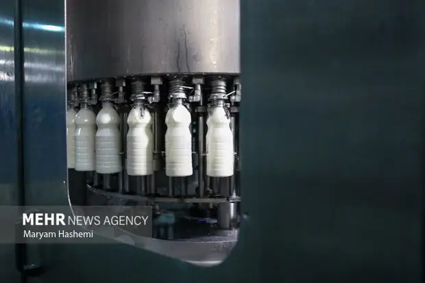 کاهش قیمت لبنیات در دی ماه؛ آیا وقت خرید است؟