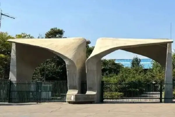 معاون فرهنگی و اجتماعی دانشگاه تهران منصوب شد