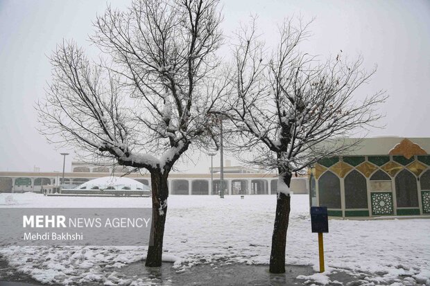 مازندران در آستانه موج برفی و بارانی؛ هشدار جدی به مسافران و آماده‌باش امدادی‌ها