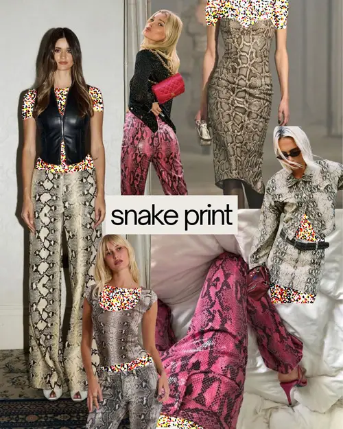 ترندهای ۲۰۲۶