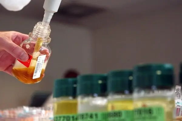 حضور پررنگ مأموران مبارزه با دوپینگ در مسابقات کشتی آزاد تبریز؛ نمونه‌گیری بی‌سابقه در راه است!