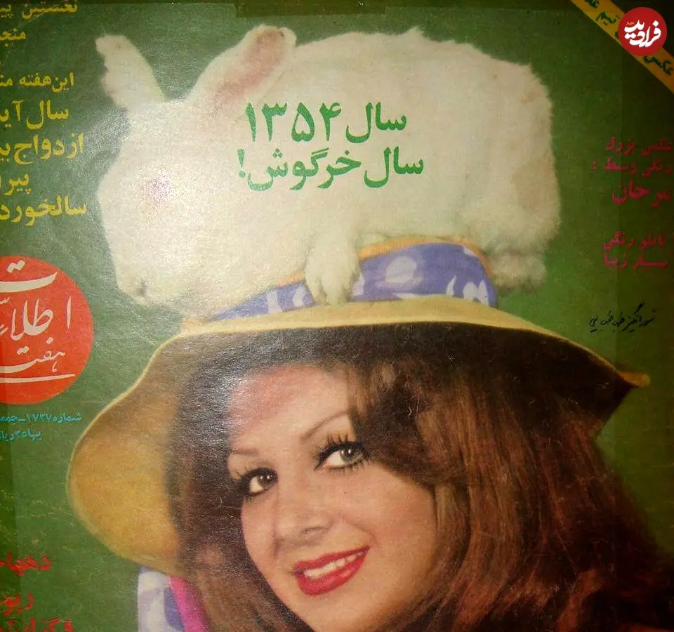 505939483_23981552741483910_8868066073850918403_n