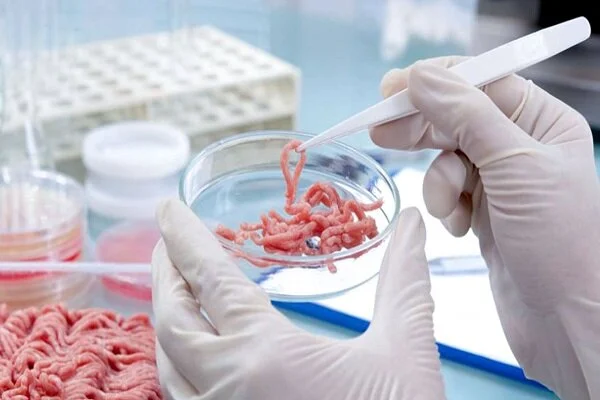 کشف و امحای مقادیر قابل توجه آلایش دامی تاریخ‌گذشته در سنقر و کلیایی