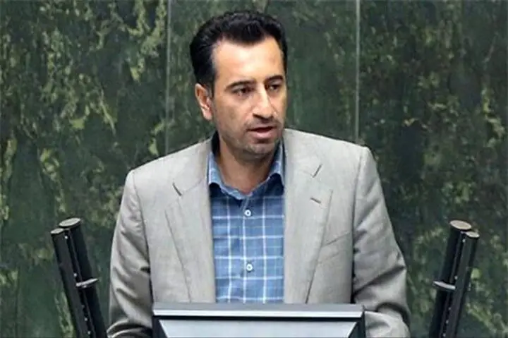 صالحی خبر داد: مجلس به دنبال جهش بودجه‌ای برای تقویت فرهنگ ملی است!
