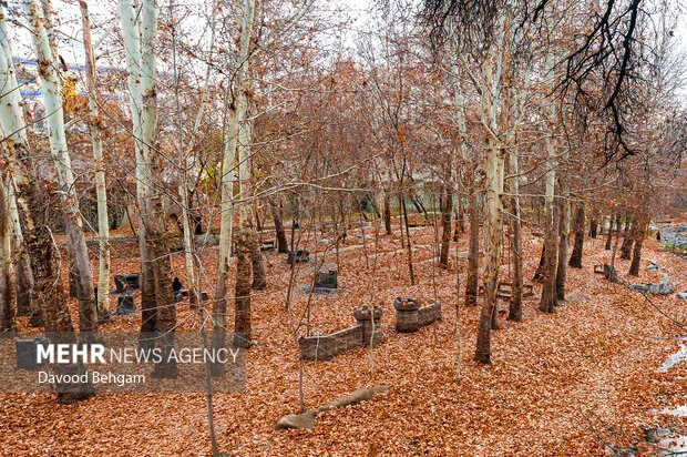 هوای مشهد امروز در وضعیت پاک و قابل تنفس قرار گرفت