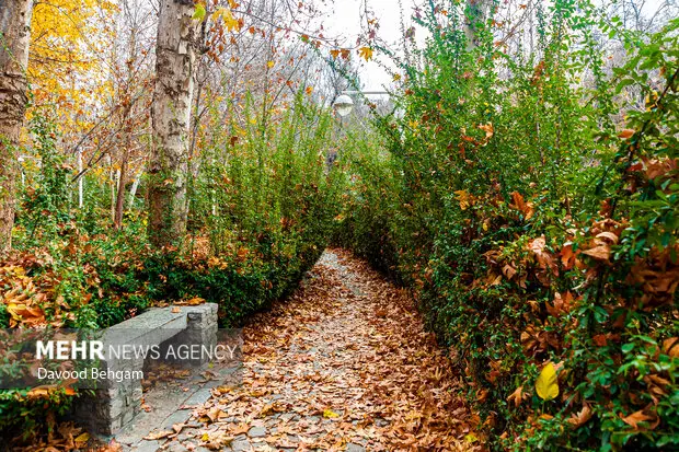 هوای مشهد امروز در وضعیت زرد و قابل قبول قرار گرفت؛ نفس راحت بکشید!