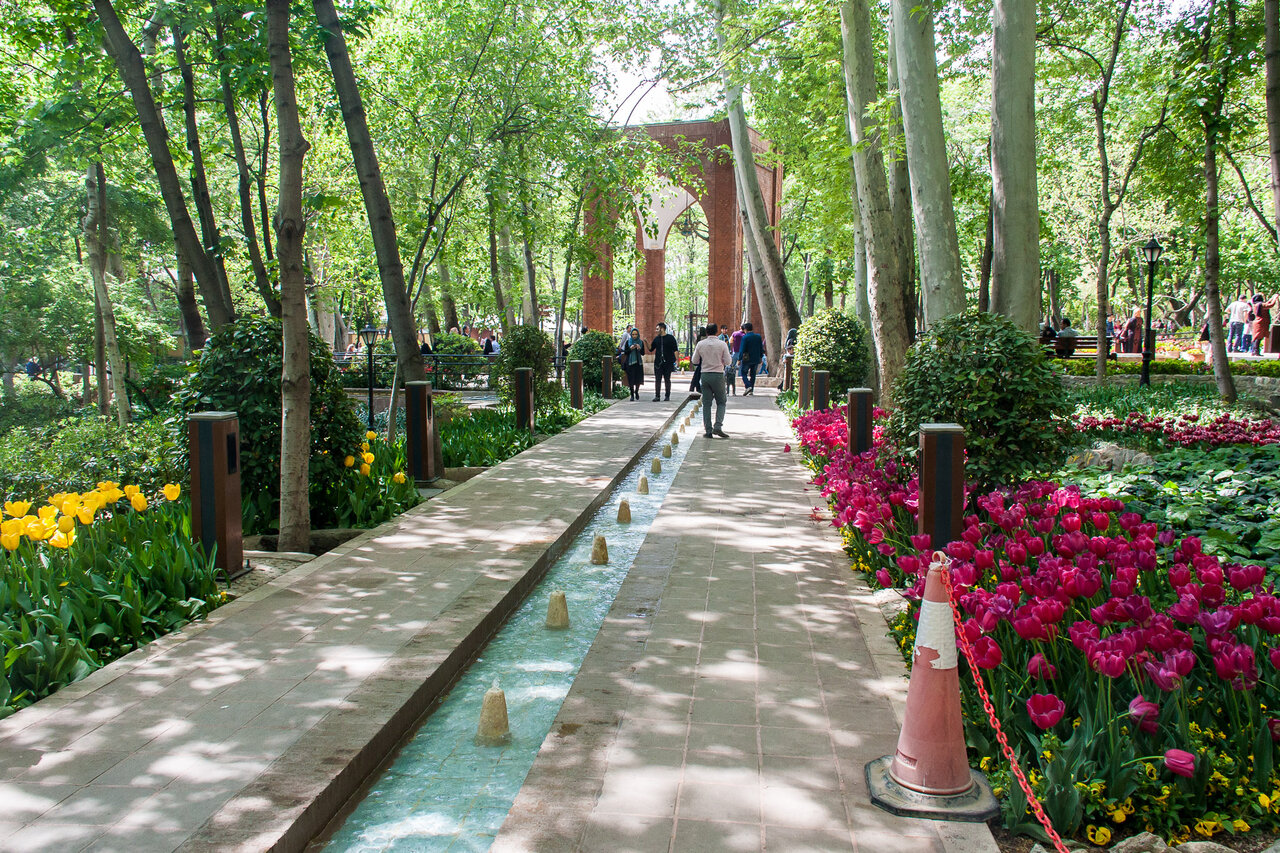 پرنده‌نگری در آسمان تهران