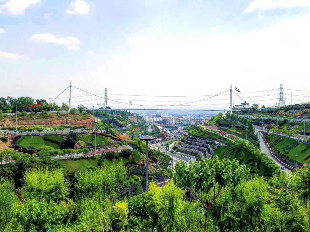 پرنده‌نگری در آسمان تهران