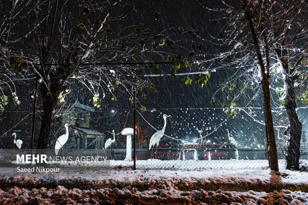 بارش برف ناگهانی در اشکورات رودسر؛ طبیعت سفیدپوش شد!