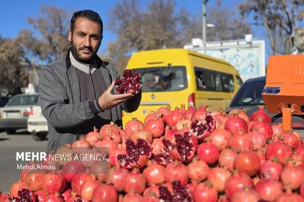 «یلدا» لاکچری شد؛سفره‌های کوچک‌تر تهرانی ها در بلندترین شب سال