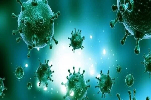 آنفلوآنزا علت مرگ ۲ بیمار در شهرستان کرخه نیست