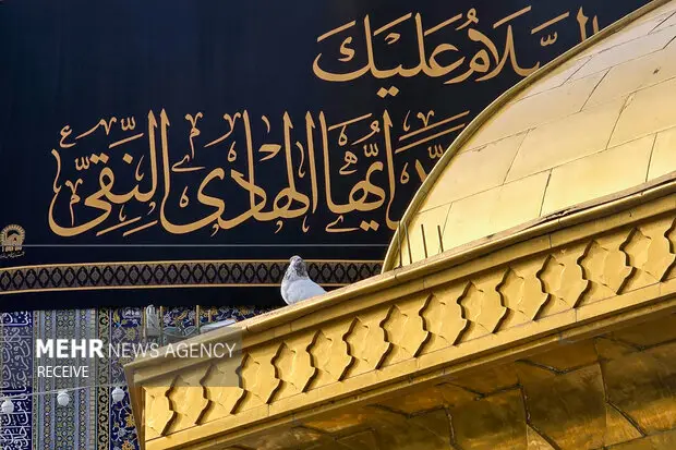 ویژه‌برنامه‌های باشکوه شهادت امام هادی (ع) در حرم رضوی کلید خورد
