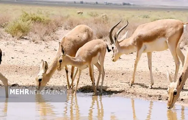 پارک ملی موته در آغوش طبیعت بکر حسن رباط؛ فرصتی طلایی برای عاشقان گردشگری