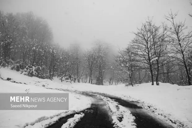 بارش برف در ارتفاعات تالش؛ تردد فقط با زنجیر چرخ ممکن شد!