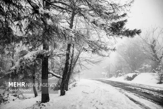 بارش شدید برف در ۷ محور گیلان؛ راه‌ها باز اما مراقب باشید!