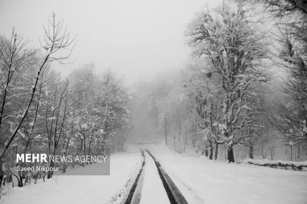 بارش سنگین برف در ۲ محور کوهستانی گیلان؛ کدام مسیرها مسدود شدند؟