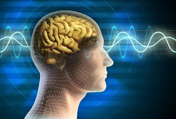 کشف تازه‌ای که سازوکارهای مغزی کنترل توجه در بینایی را روشن می‌کند!