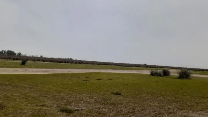 میانکاله در آستانه بحران؛ خشک شدن ۲۰ هزار هکتار از بهشت پرندگان ایران نگران‌کننده است!